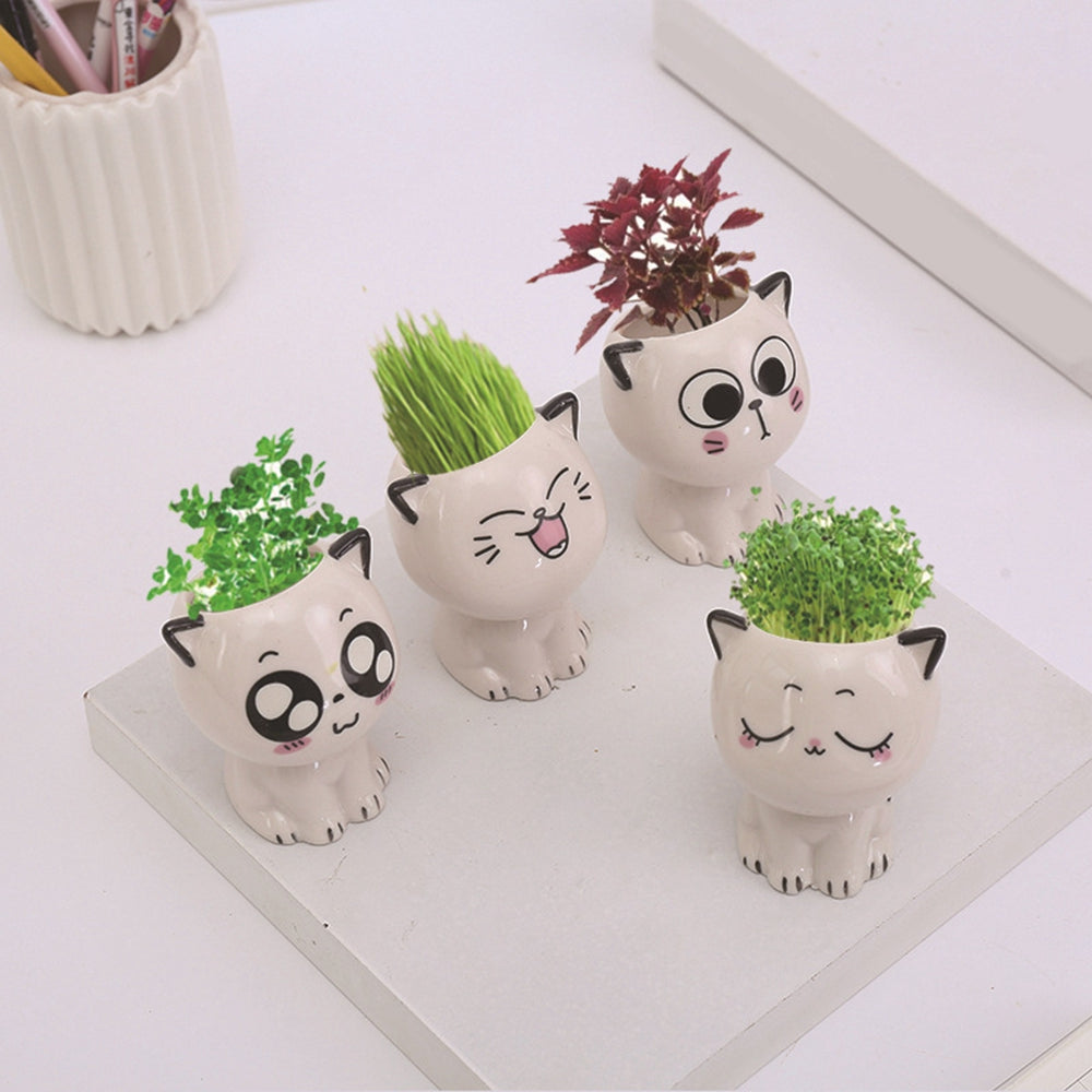 Kitten Pot Pals
