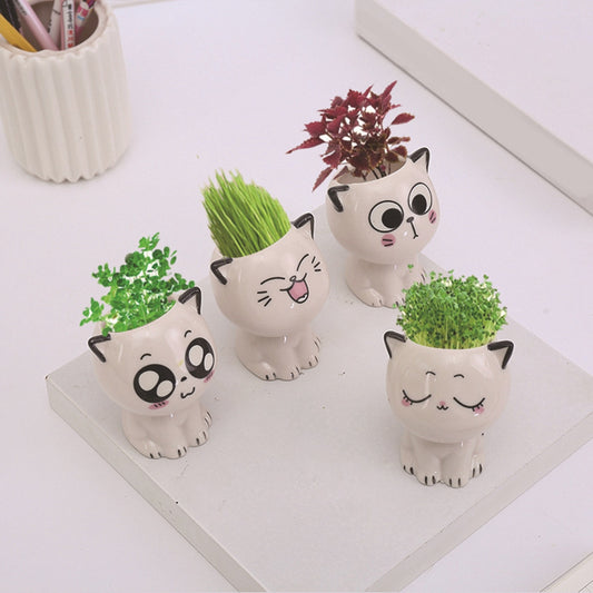 Kitten Pot Pals