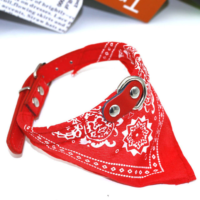 Small Pet Collar With Bandana