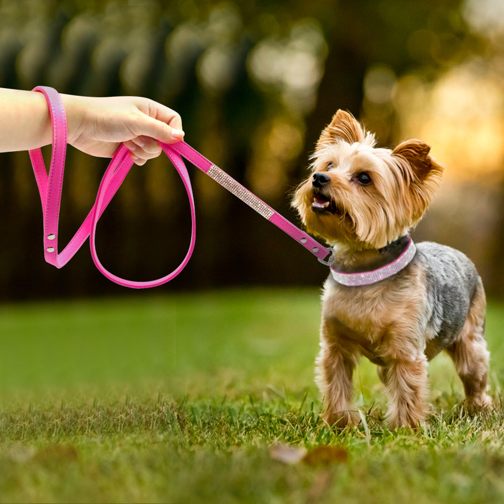 Pet Bling Collar
