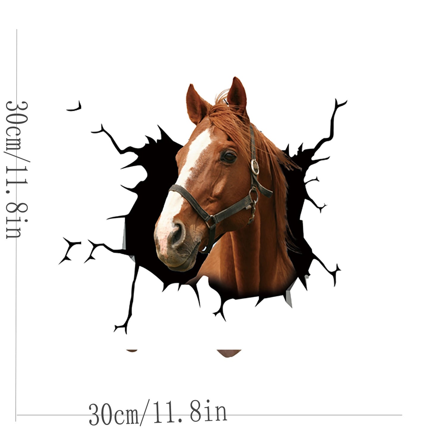 Horse Car Sticker
