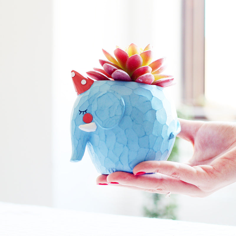 Animini Plant Pots