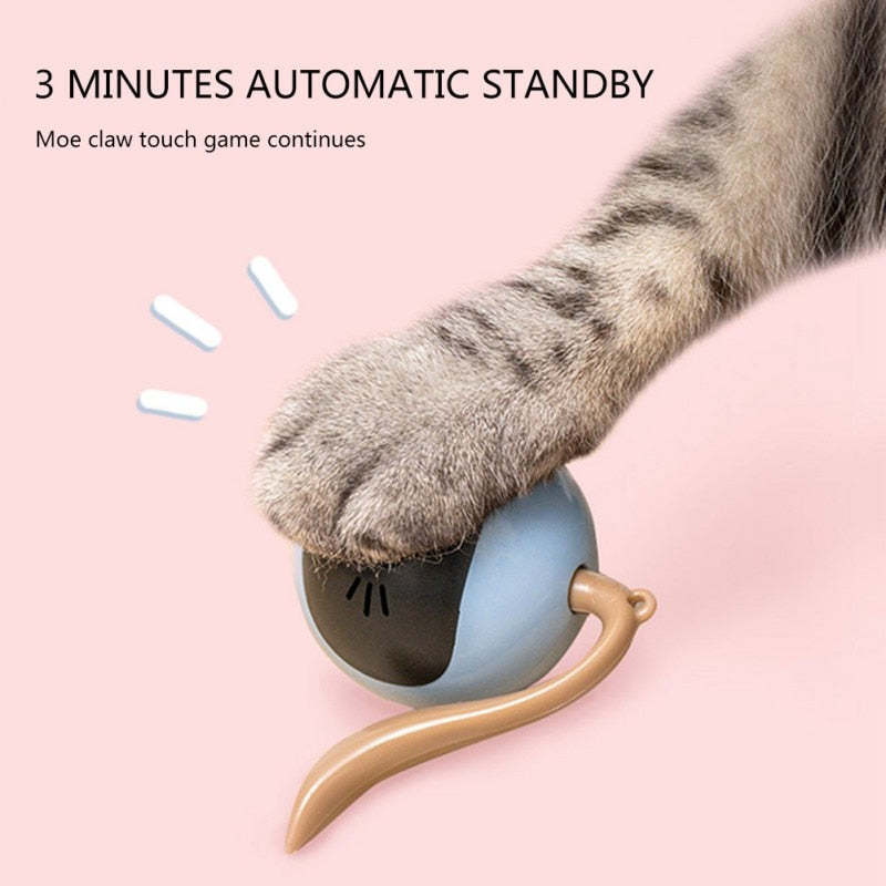 Tail-Chasing Kitty Ball