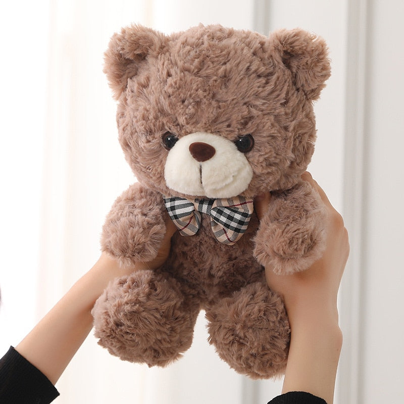 Cute Teddy Bear Plush Toy