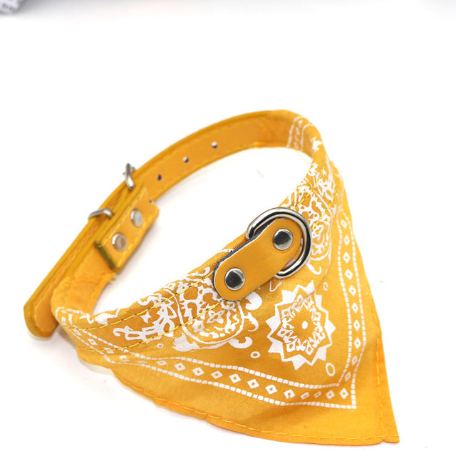 Small Pet Collar With Bandana