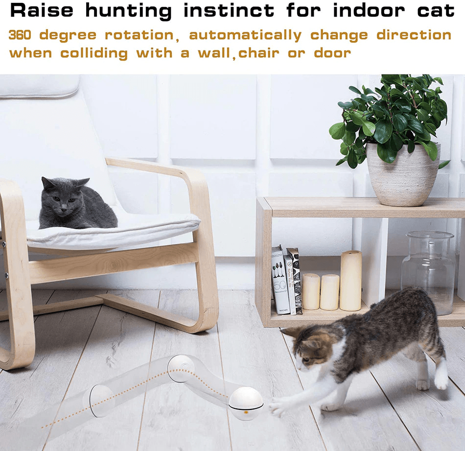 SpinBall Cat Toy