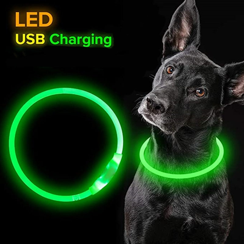 LED Waterproof Dog Collar
