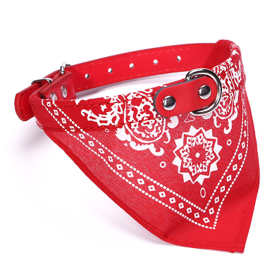 Small Pet Collar With Bandana