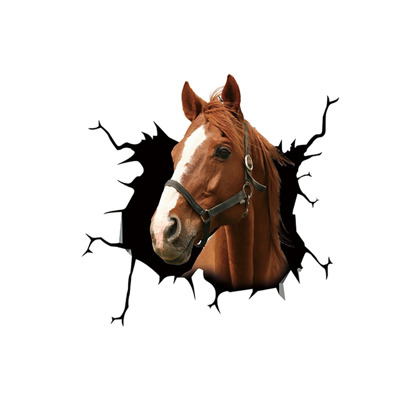 Horse Car Sticker