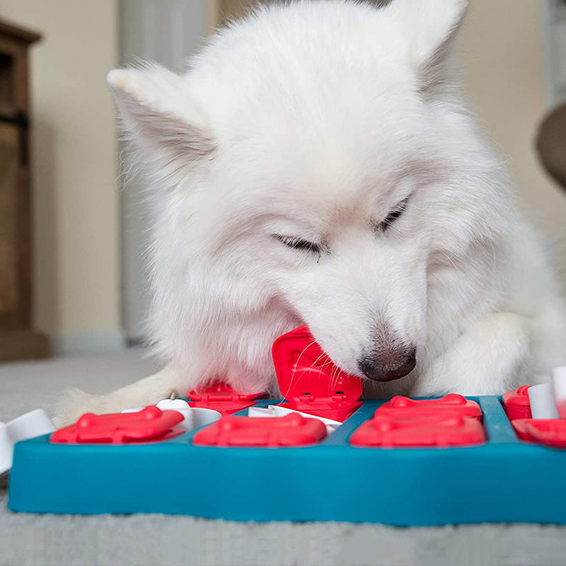 Dog Treasure Box Toy