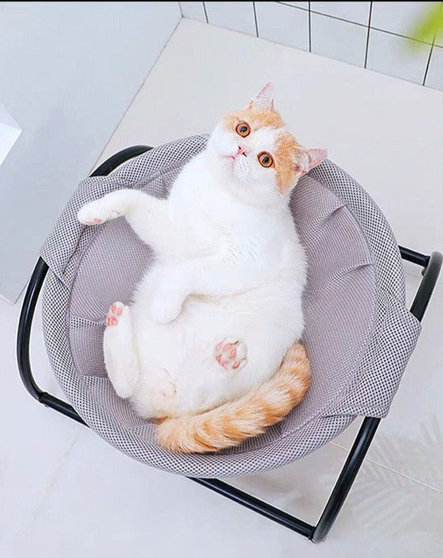 BreezeLounge Pet Hammock