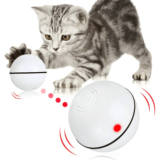 SpinBall Cat Toy