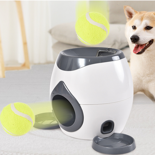 Fetch & Treat Pet Feeder