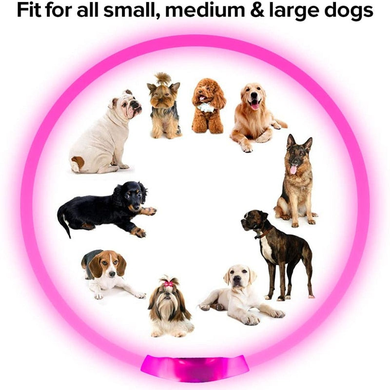 LED Waterproof Dog Collar