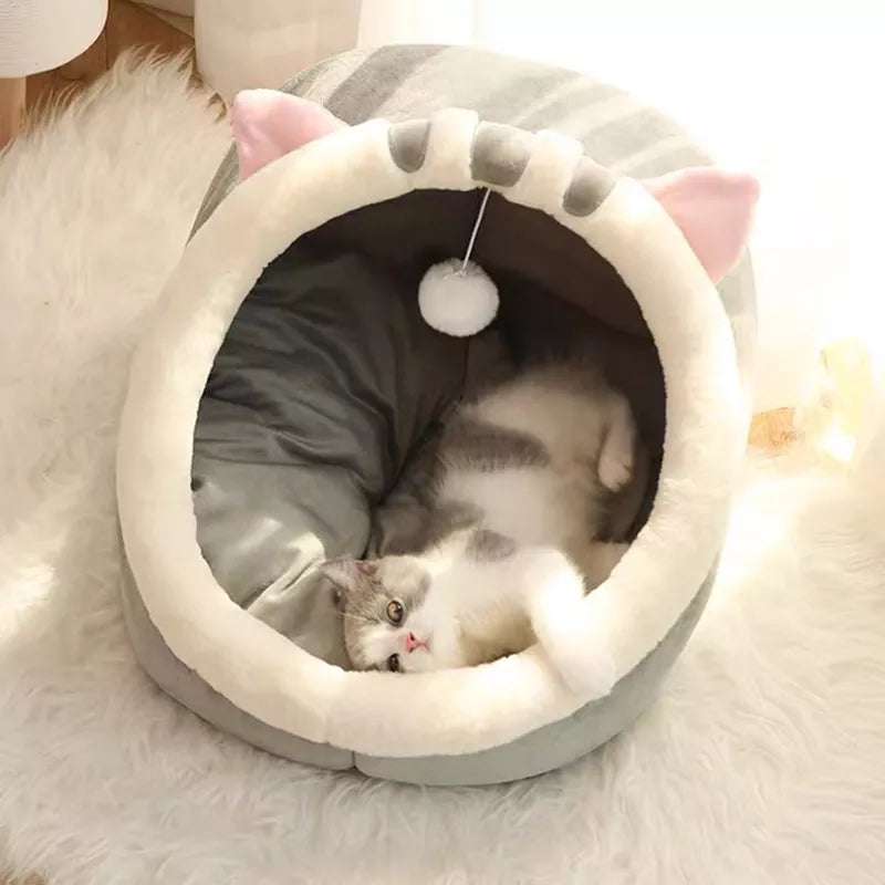 Cat Play Bed