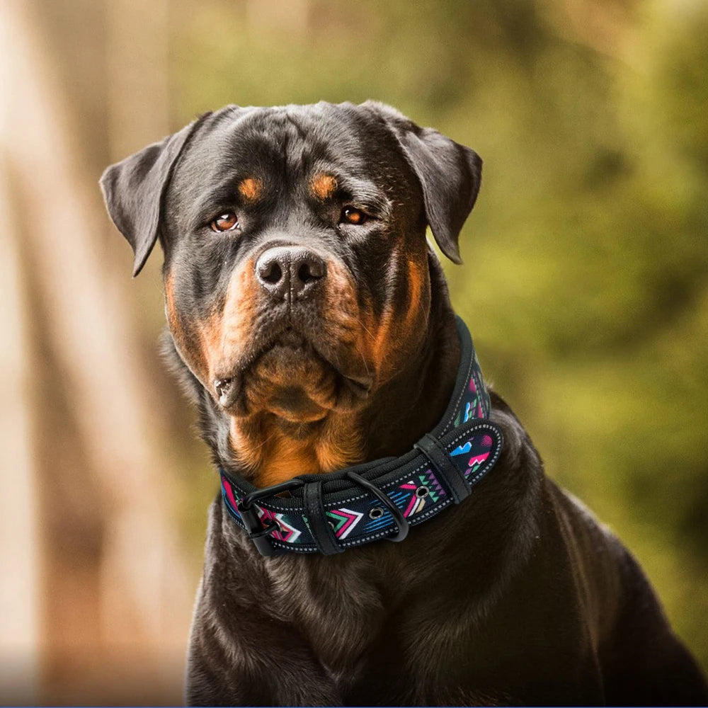 Reflective Nylon Dog Collar