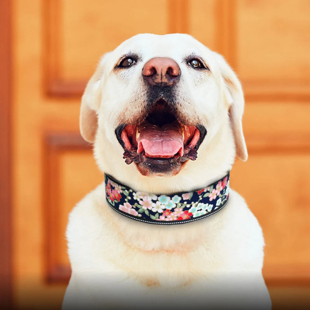 Reflective Nylon Dog Collar