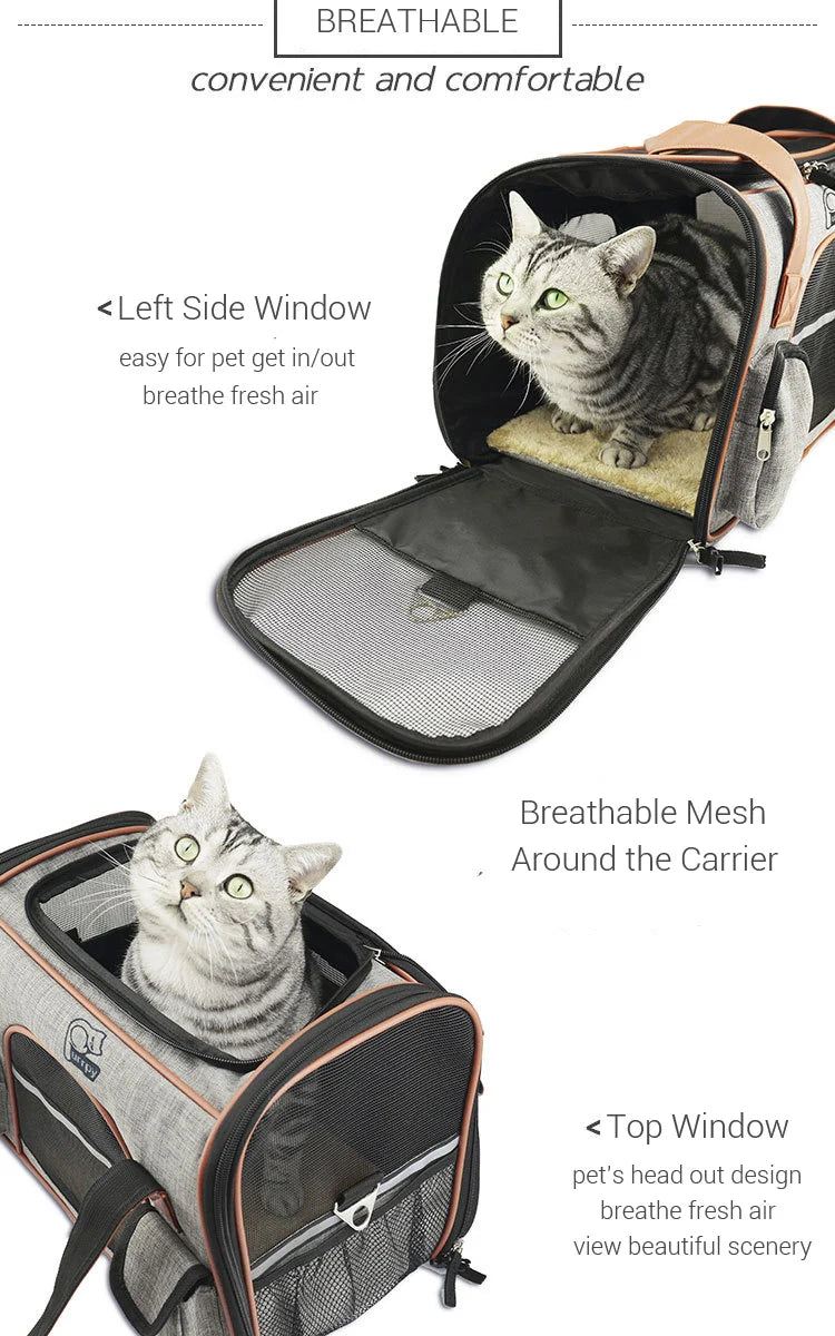 Modern Pet Carrier Bag