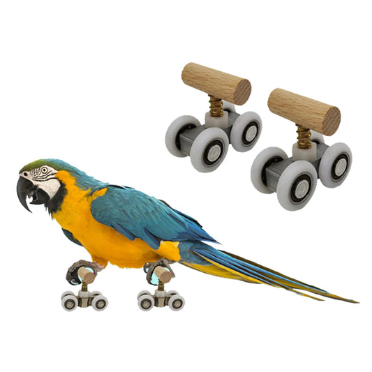 Parrot Roller Skates