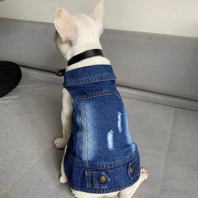 Denim Jacket for Small Dogs