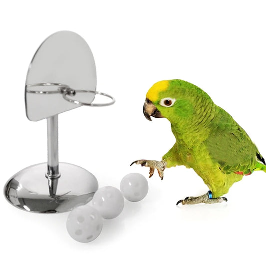 The Bird Hoop