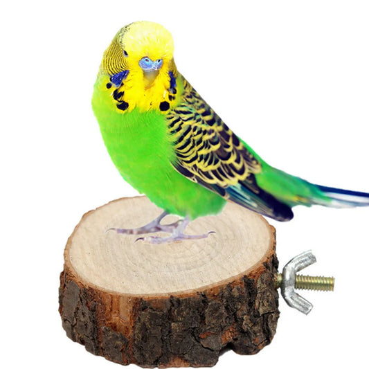 Branch Slice Bird Perch