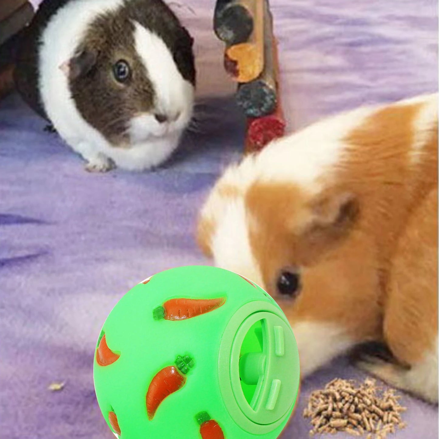 Rodent Treat Ball