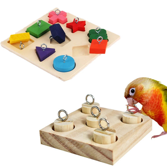 Bird Training Blocks