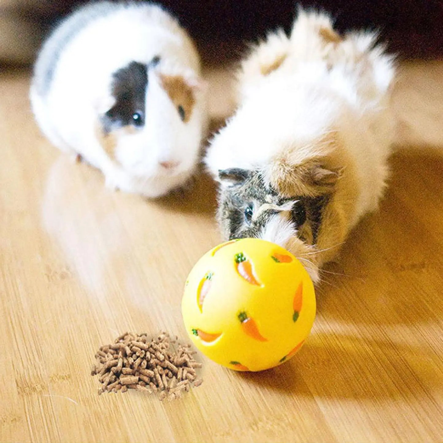 Rodent Treat Ball