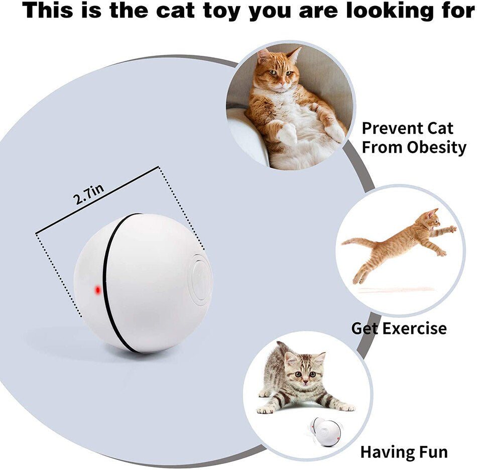 SpinBall Cat Toy