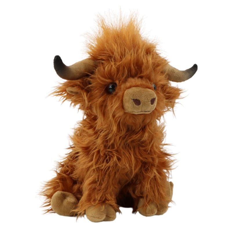 Lachlan The Highland Cow