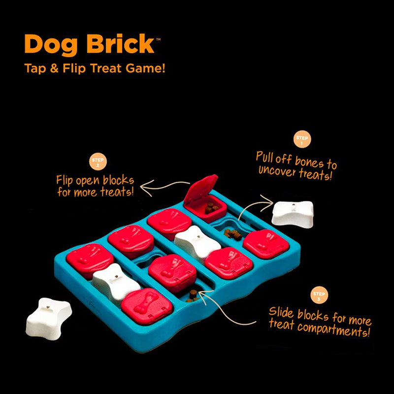 Dog Treasure Box Toy