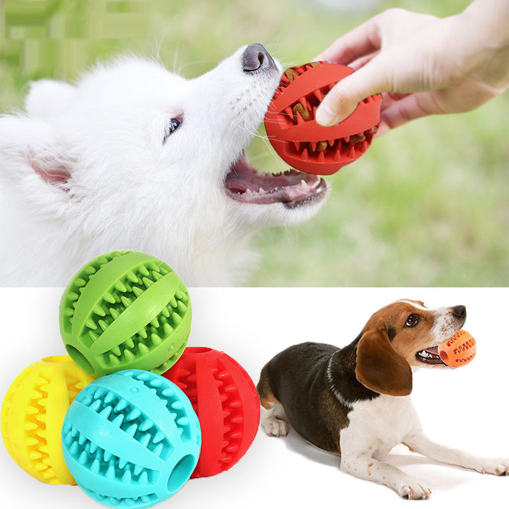The ChewChase Treat Ball
